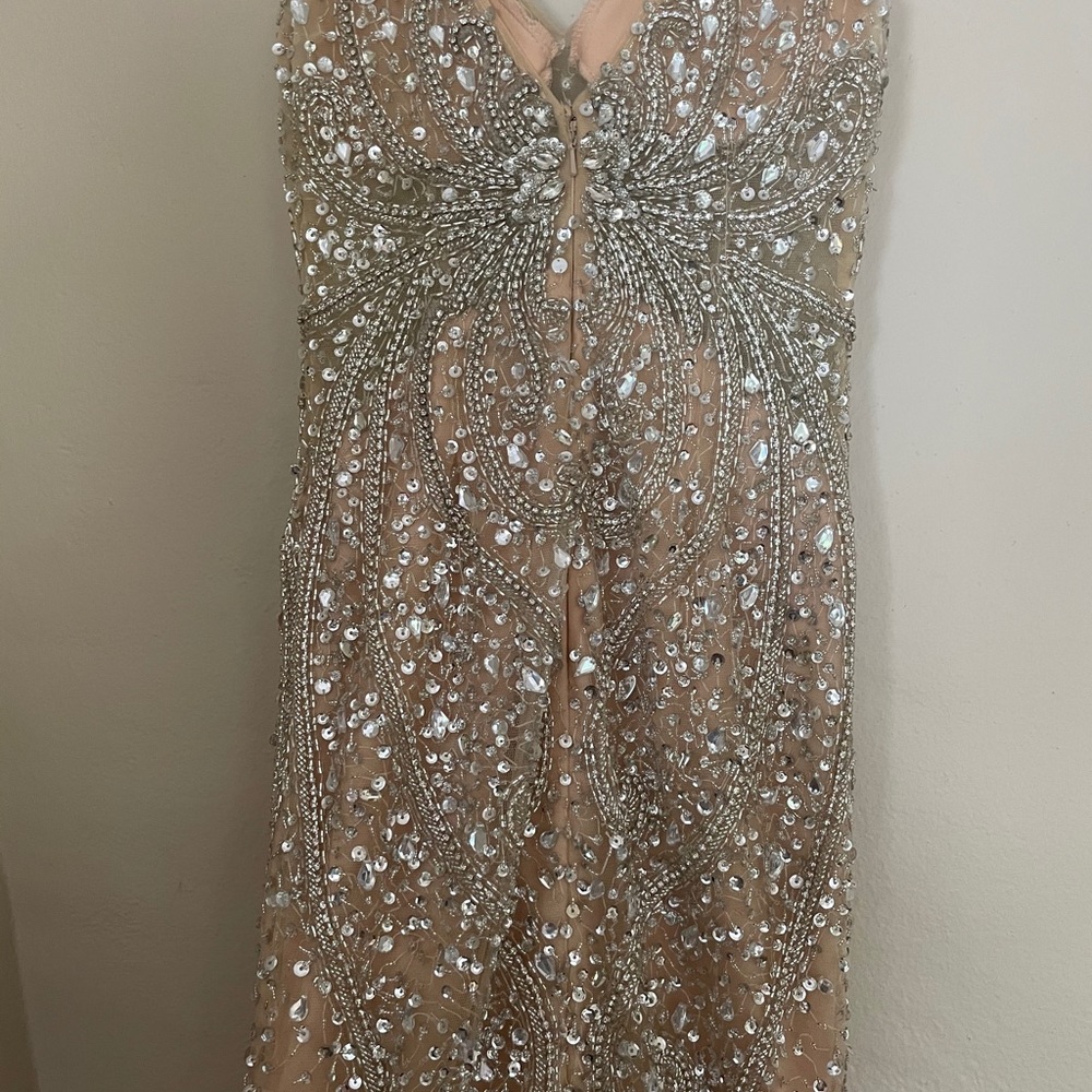 Prom Dress - Picture 10 of 14